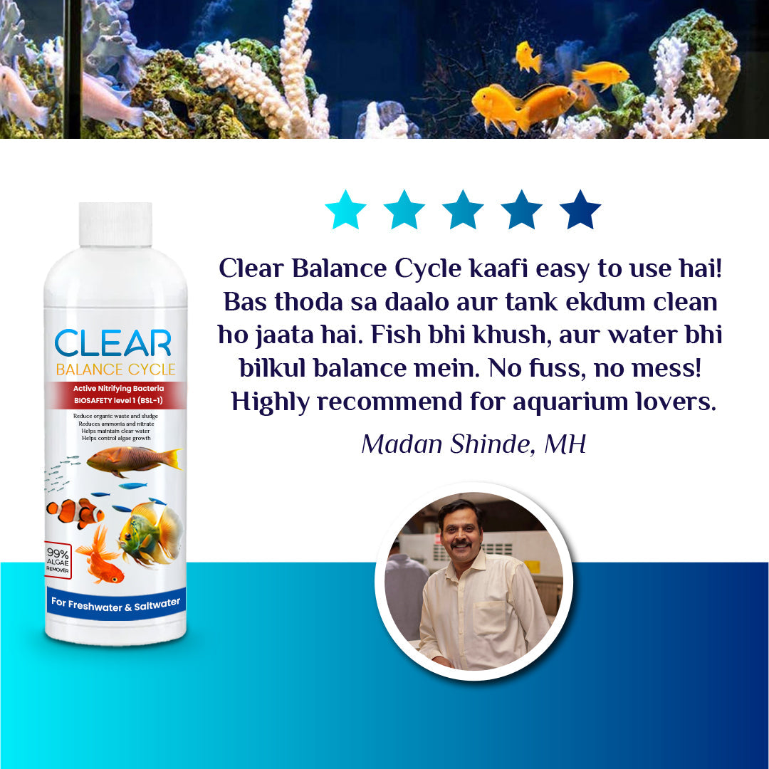 ClearBalance™ – Automatic Fish Tank Cleaning Agent – (Buy 1 Get 2 Free🔥)