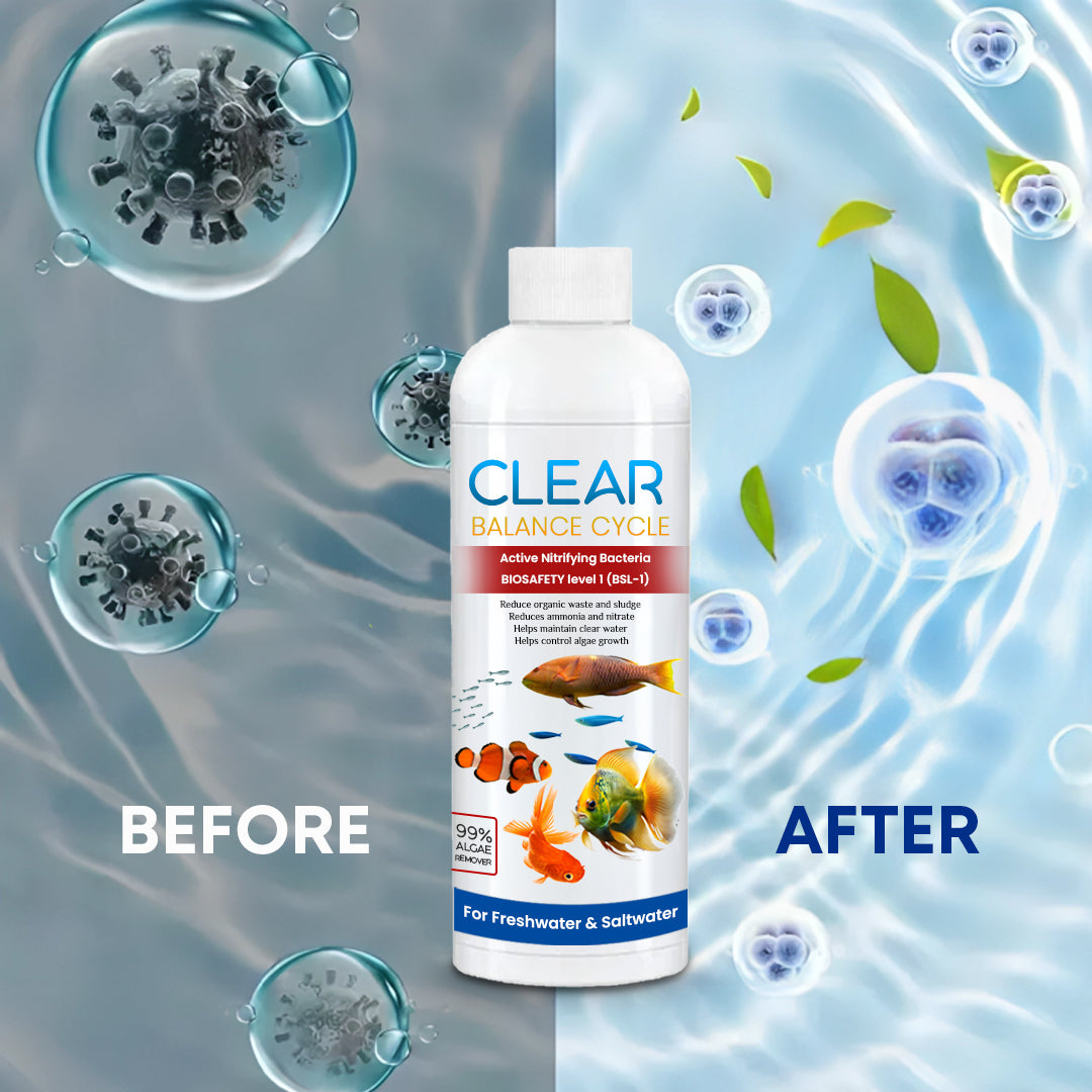 ClearBalance™ – Automatic Fish Tank Cleaning Agent – (Buy 1 Get 2 Free🔥)