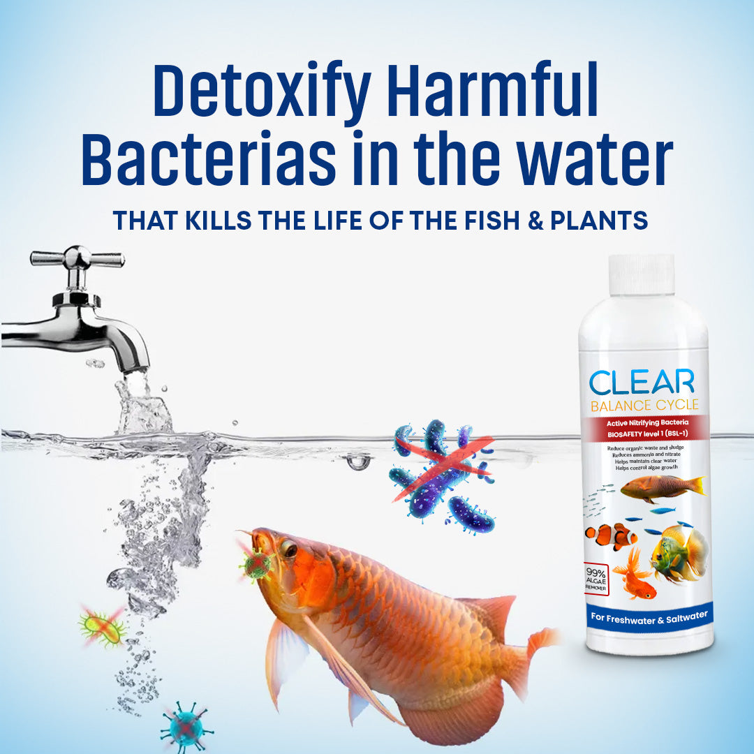 ClearBalance™ – Automatic Fish Tank Cleaning Agent – (Buy 1 Get 2 Free🔥)